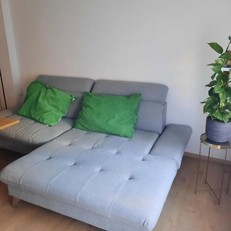 Schone Wohnung In Der Grazer Innenstadt المظهر الخارجي الصورة