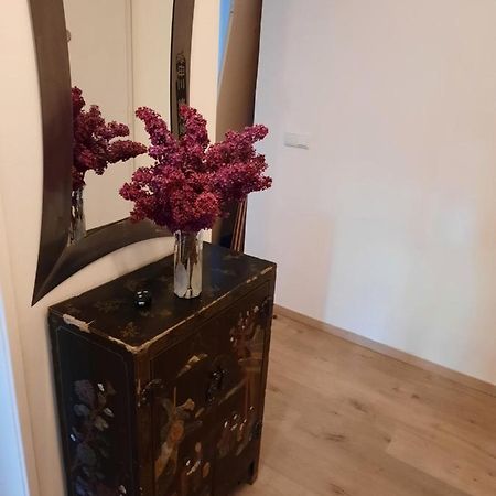 Schone Wohnung In Der Grazer Innenstadt المظهر الخارجي الصورة