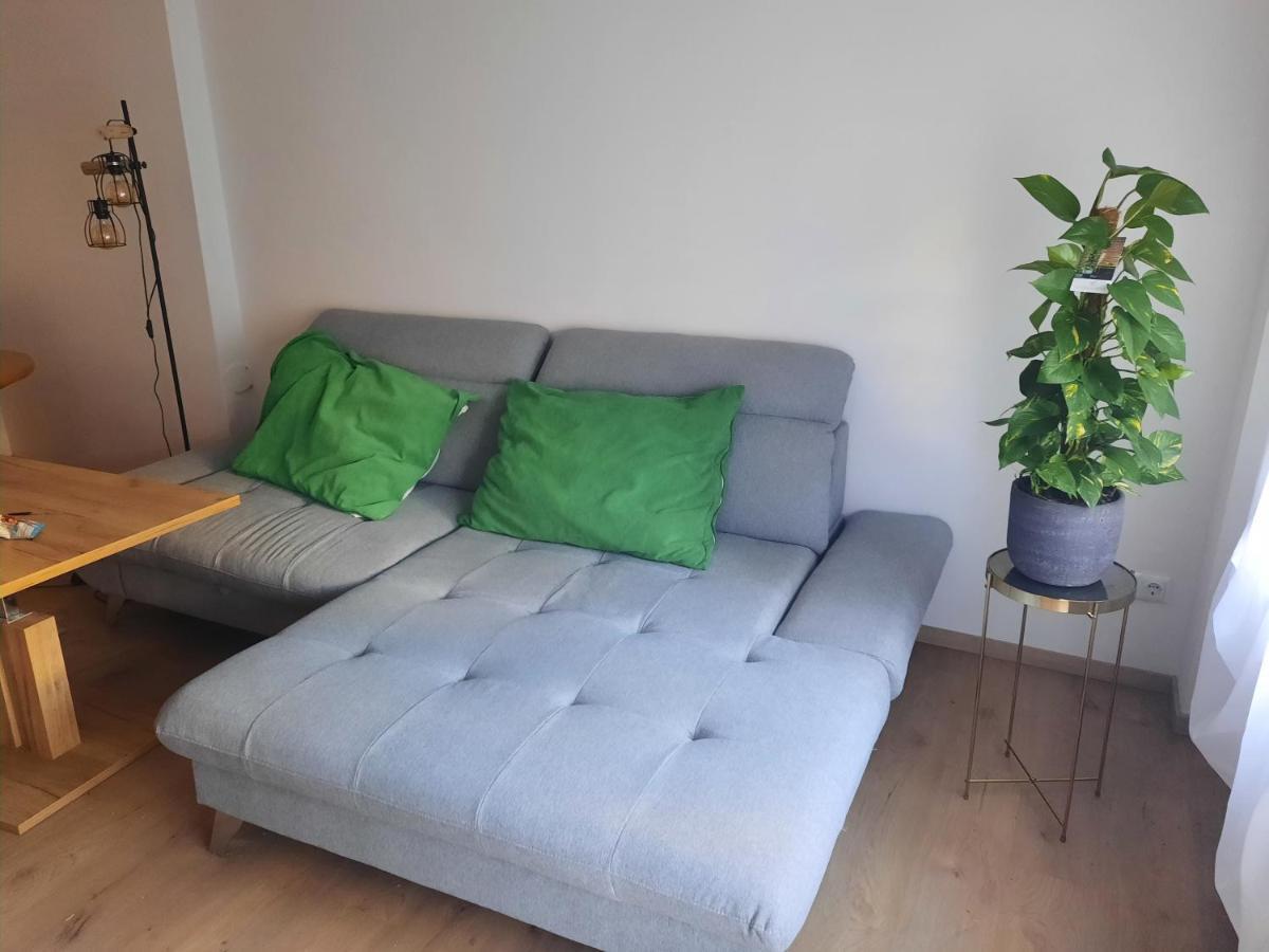 Schone Wohnung In Der Grazer Innenstadt المظهر الخارجي الصورة