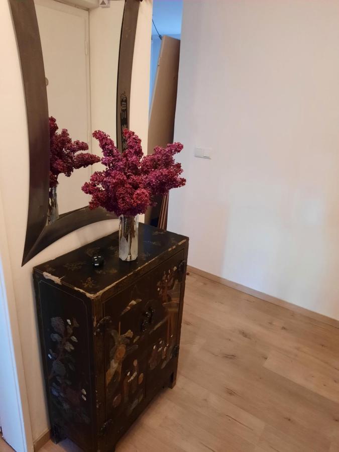 Schone Wohnung In Der Grazer Innenstadt المظهر الخارجي الصورة